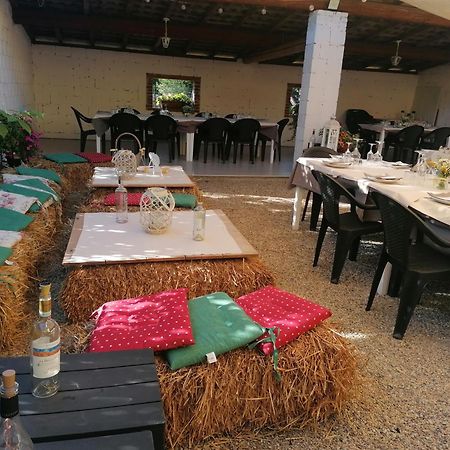 Agriturismo Il Vecchio Portico Francavilla Bisio المظهر الخارجي الصورة