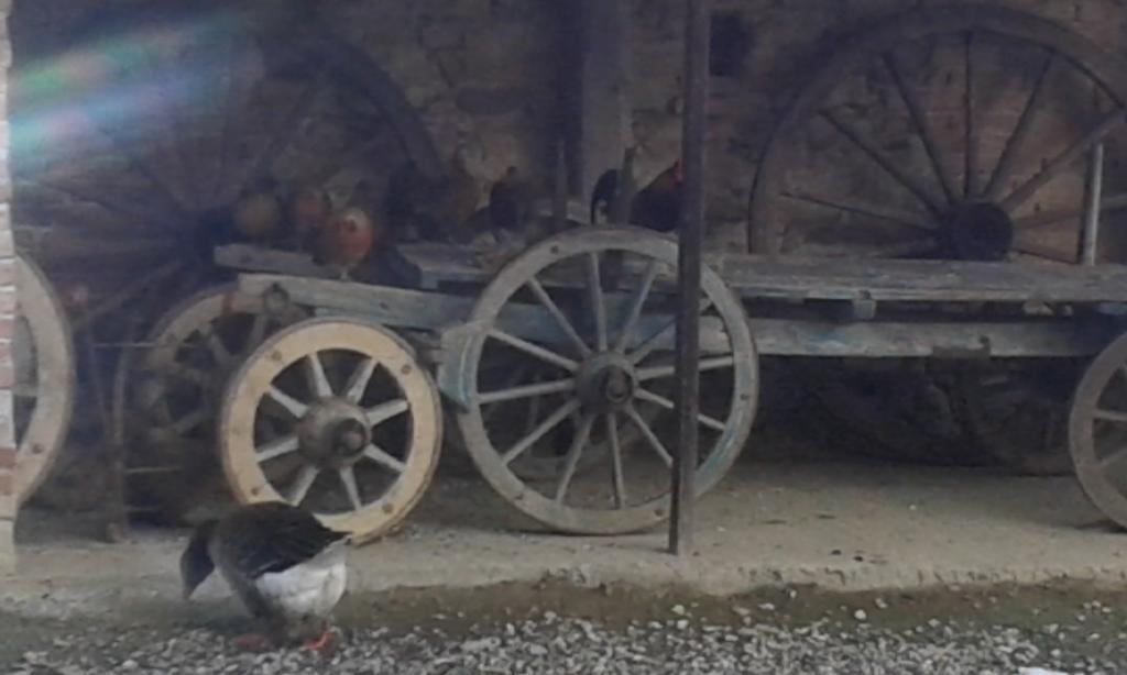 Agriturismo Il Vecchio Portico Francavilla Bisio المظهر الخارجي الصورة