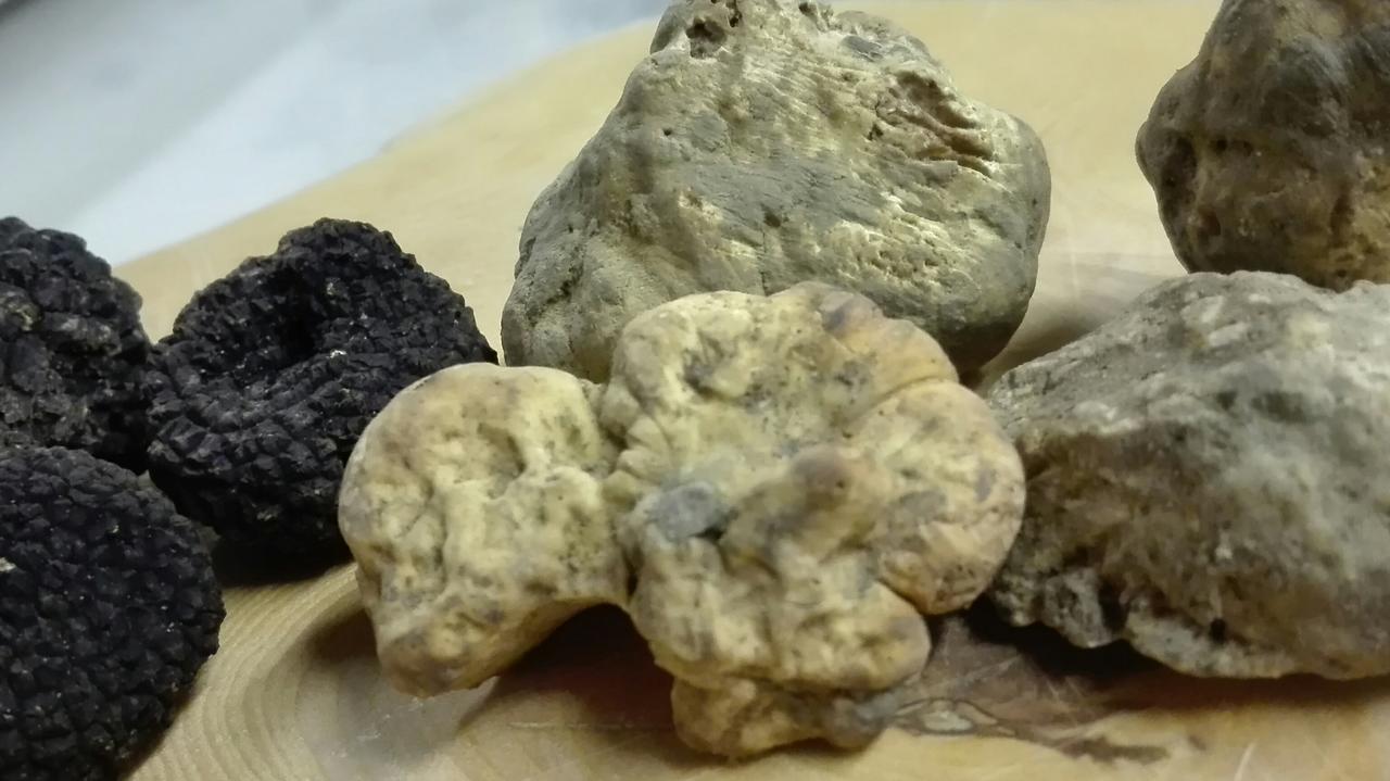 Agriturismo Il Vecchio Portico Francavilla Bisio المظهر الخارجي الصورة